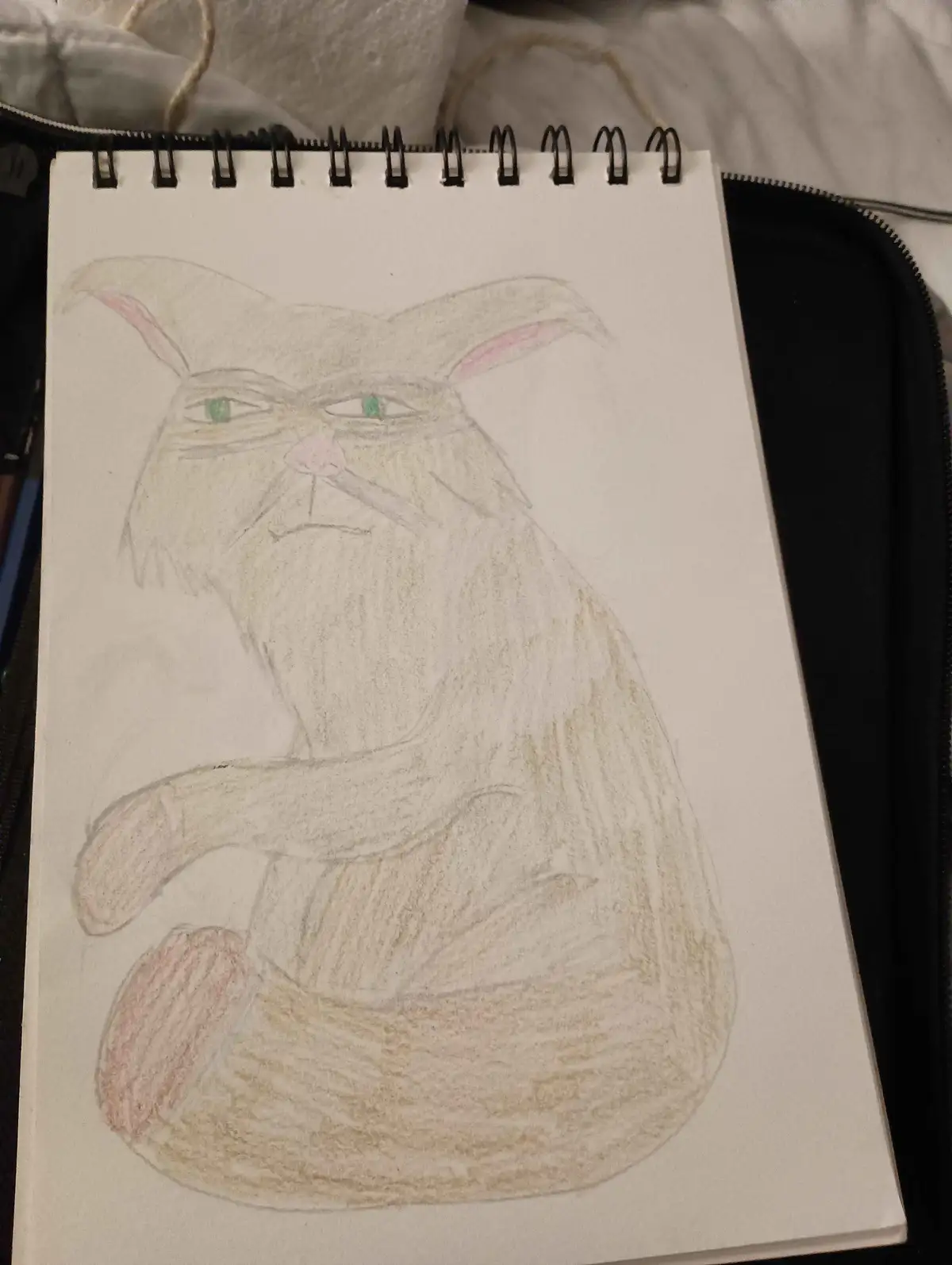 A hand-drawn colored pencil sketch of a cat with long fur, green eyes, and a stern expression, sitting in a spiral-bound…