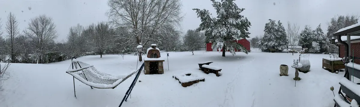 Snowfall in the Southern states is a rare sight.