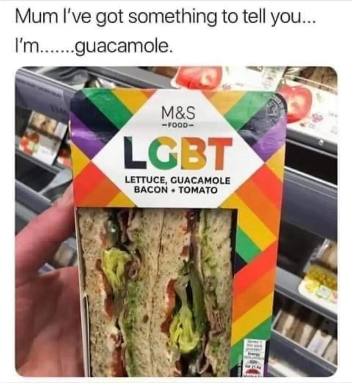 A hand holds a packaged sandwich from M&S Food with rainbow-colored packaging featuring the acronym 'LGBT' and the…