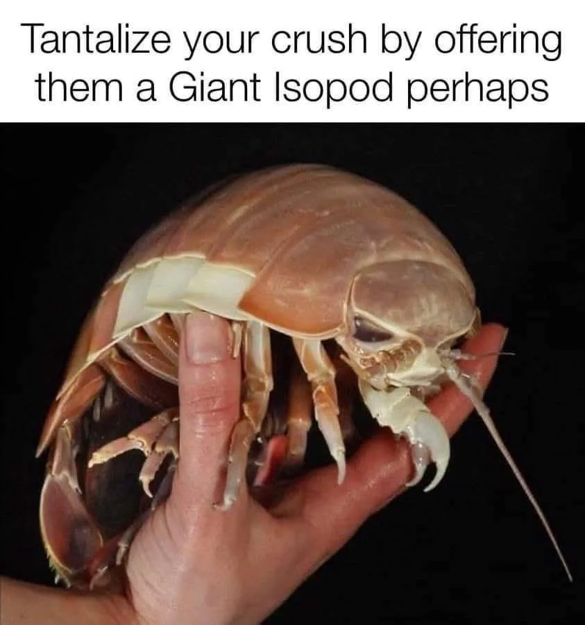 A human hand holds a large, pale brown giant isopod against a black background. The isopod's segmented body, multiple legs…