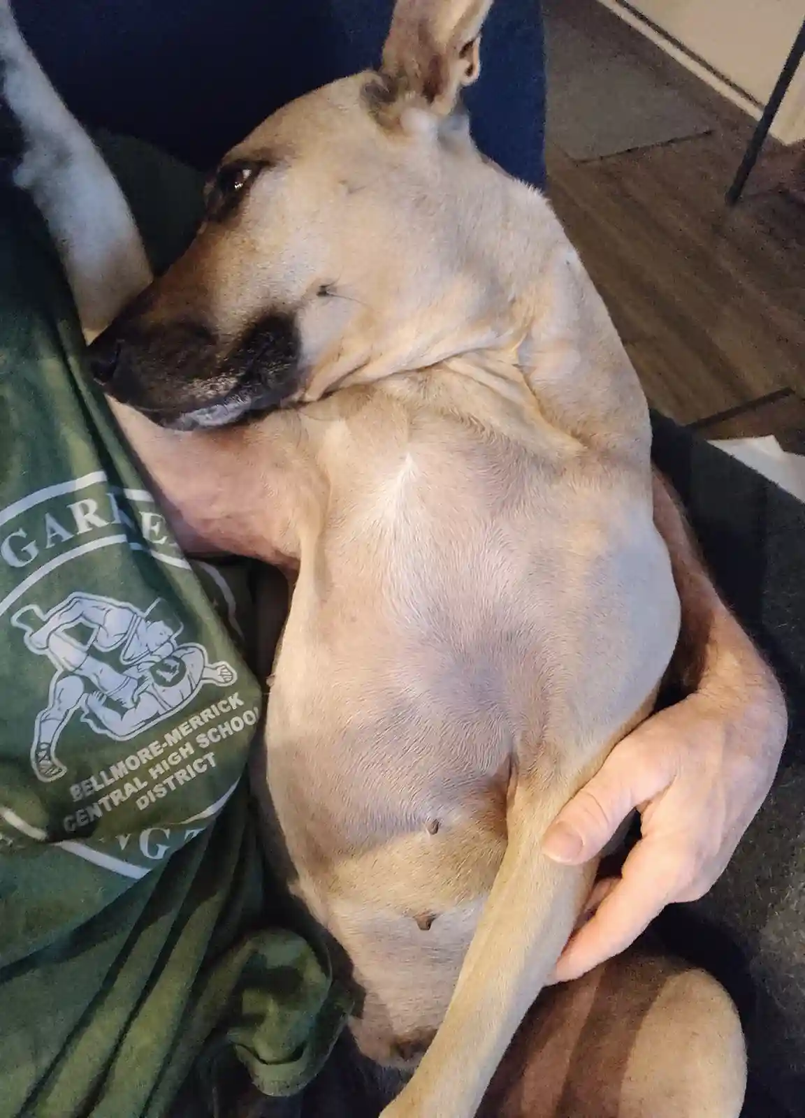 Maggie has a talent for tugging at my heartstrings