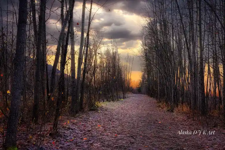 A scenic autumn forest path lined with bare trees, covered in fallen leaves, leading toward a dramatic sunset with golden…