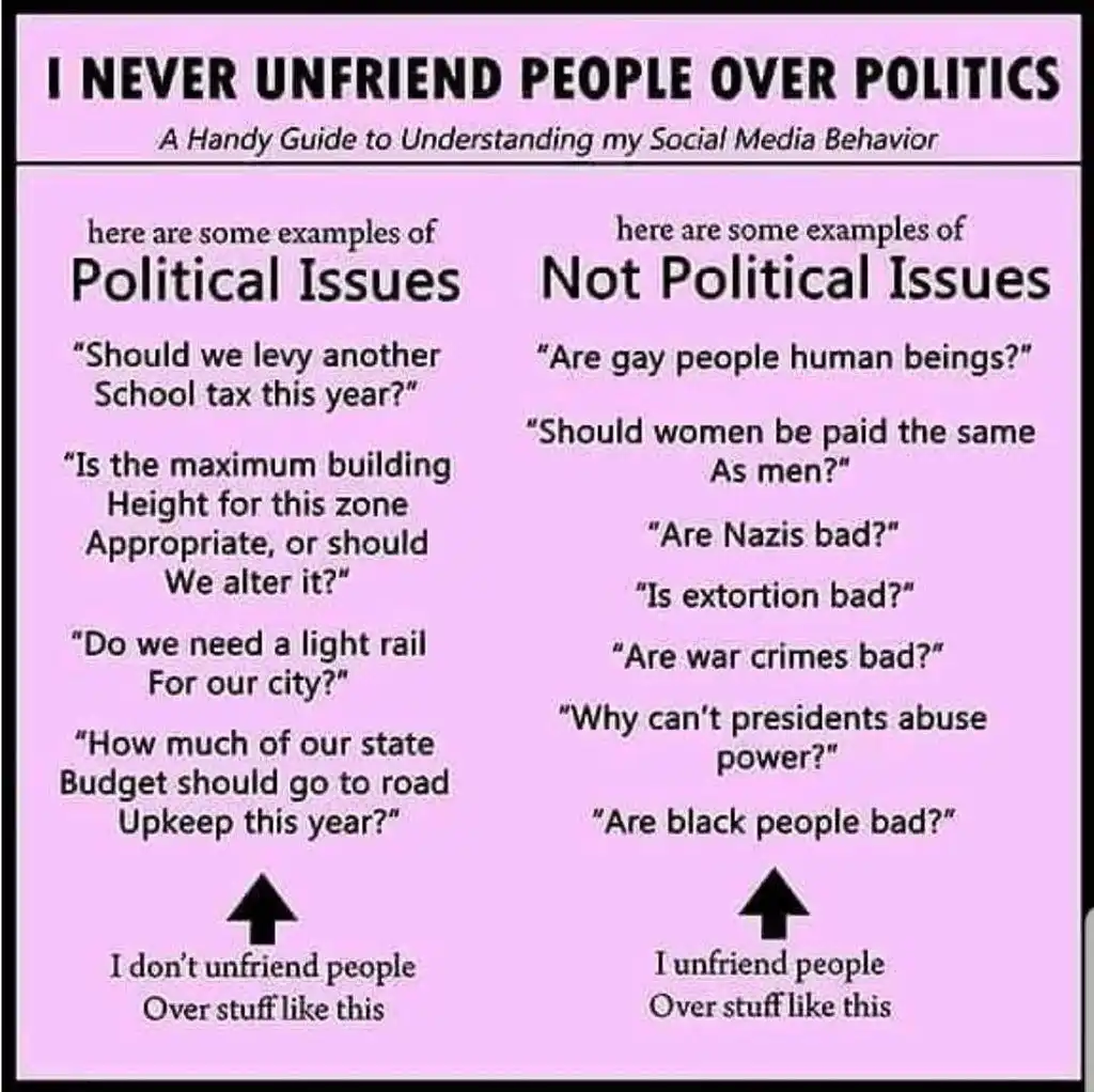 A pink infographic titled 'I NEVER UNFRIEND PEOPLE OVER POLITICS' lists examples of 'Political Issues' like school taxes and…