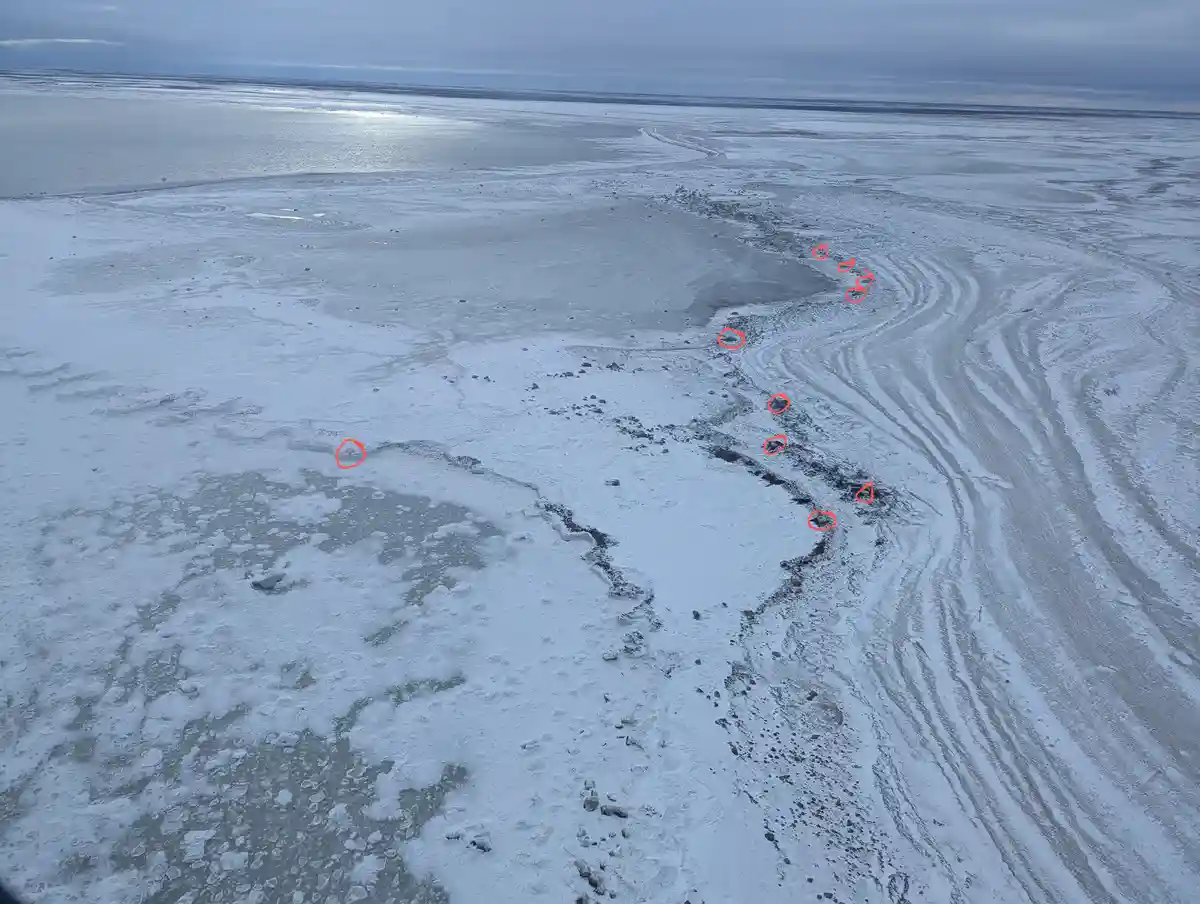 An aerial view of a vast, icy, and snowy shoreline with a winding dark line of exposed earth or rocks. Several small, dark…