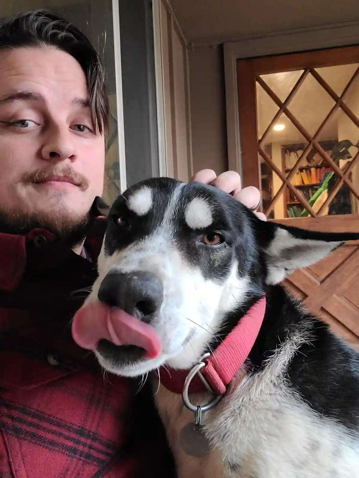 A Christmas Greeting from a Dog Who Claims He's Never Been Petted Before