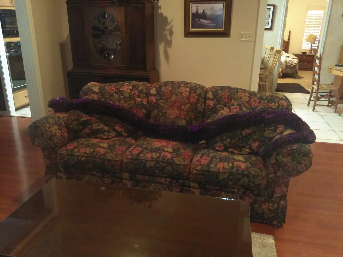 A floral-patterned couch in a living room has a purple blanket draped over its back, creating a shape that resembles a…