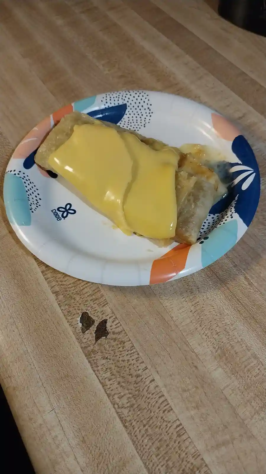 A single burrito sits on a colorful Dixie paper plate, generously covered in melted yellow cheese, resting on a wooden…