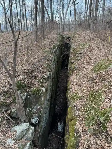 A deep, narrow trench cuts through a forest floor covered in dry leaves and mossy rocks, with bare trees in the background…