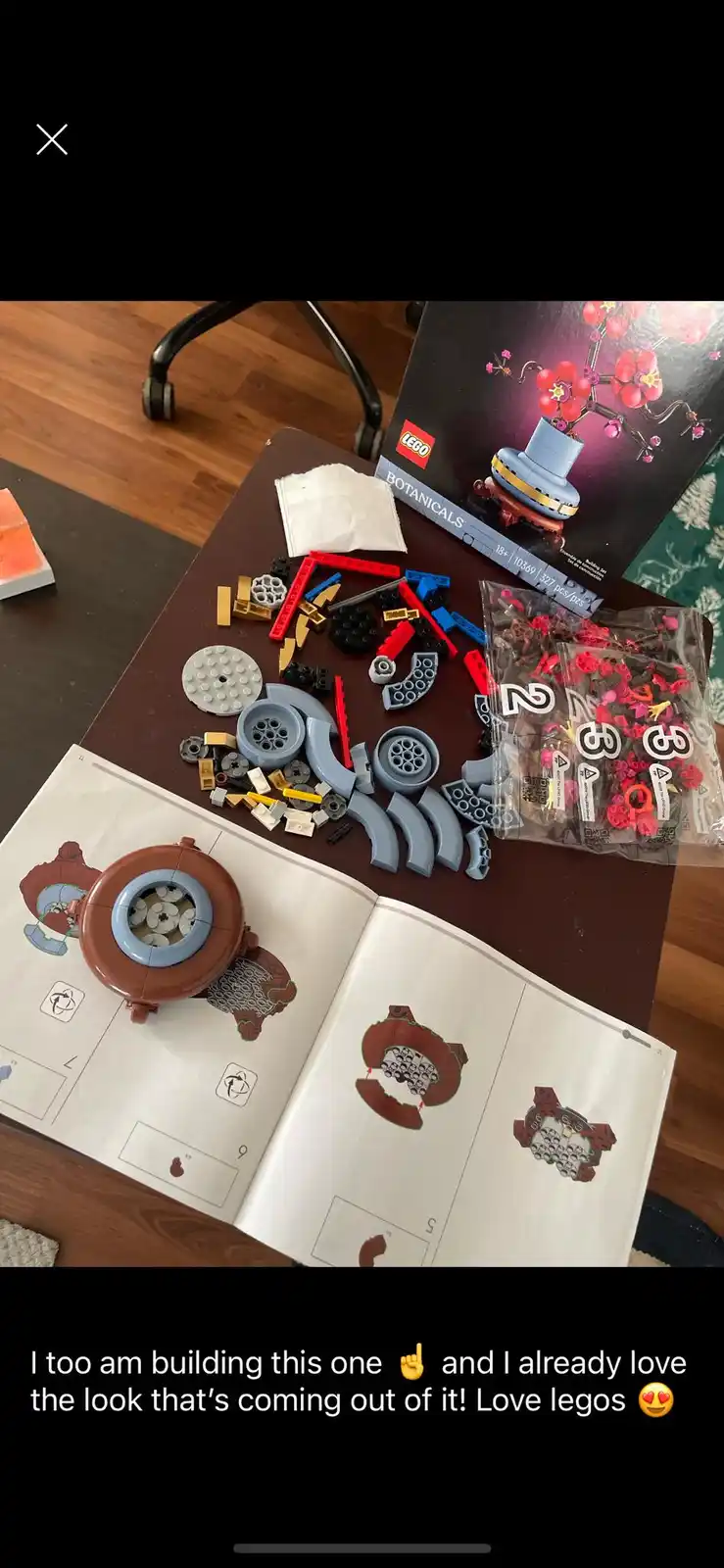 An overhead shot shows a partially assembled LEGO Botanicals set (10369) on a dark table, with scattered pieces, instruction…