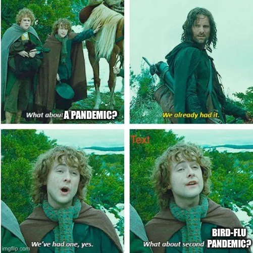 A four-panel meme using scenes from 'The Lord of the Rings' featuring Frodo, Sam, and Aragorn. The top-left panel shows…