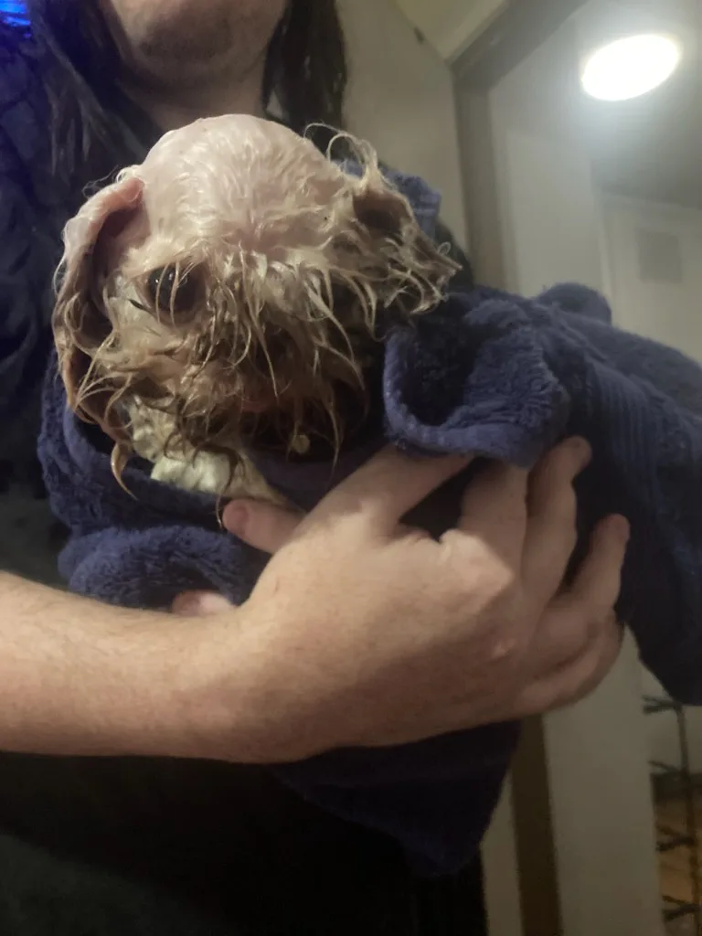 Not a Happy Camper: His Bath Time Woes