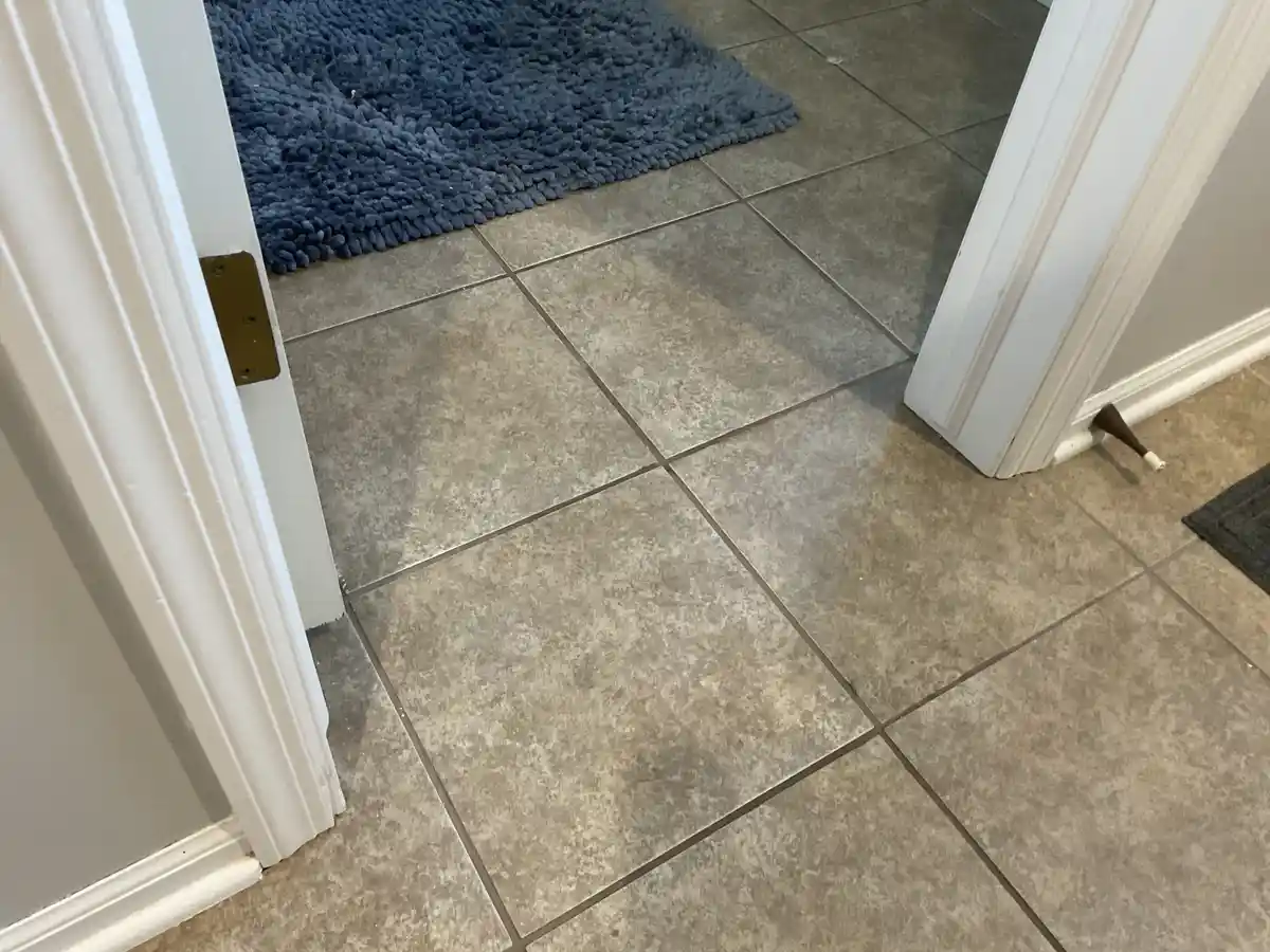 A low-angle shot of a tiled floor at a doorway, showing a blue shag rug partially visible in the background and a small…