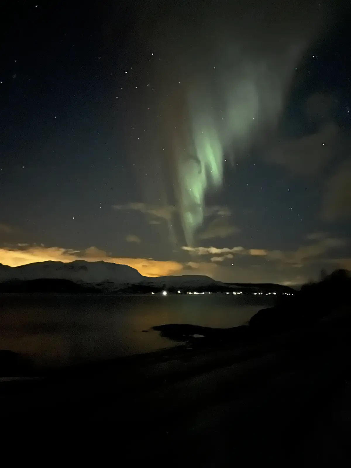 A night sky photograph shows vibrant green aurora borealis dancing above a starry sky, with silhouetted mountains and a body…