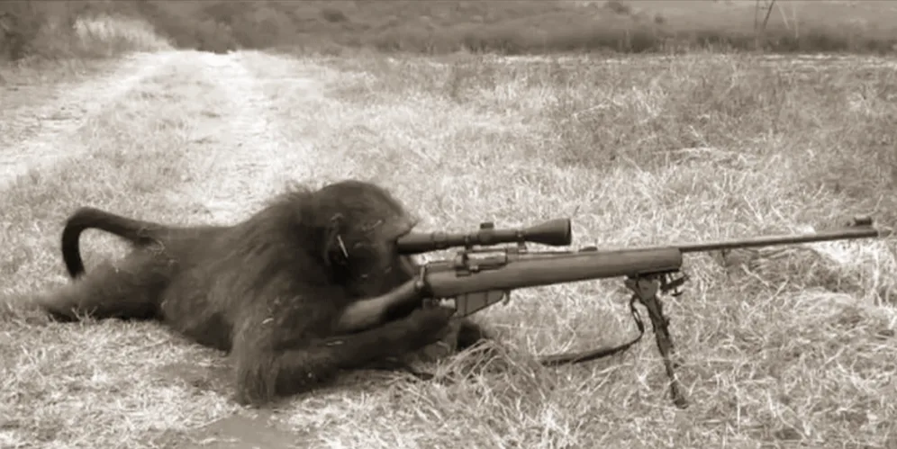 A black-and-white photo shows a monkey lying prone in grass, holding a rifle with a scope and bipod, aiming forward. The…
