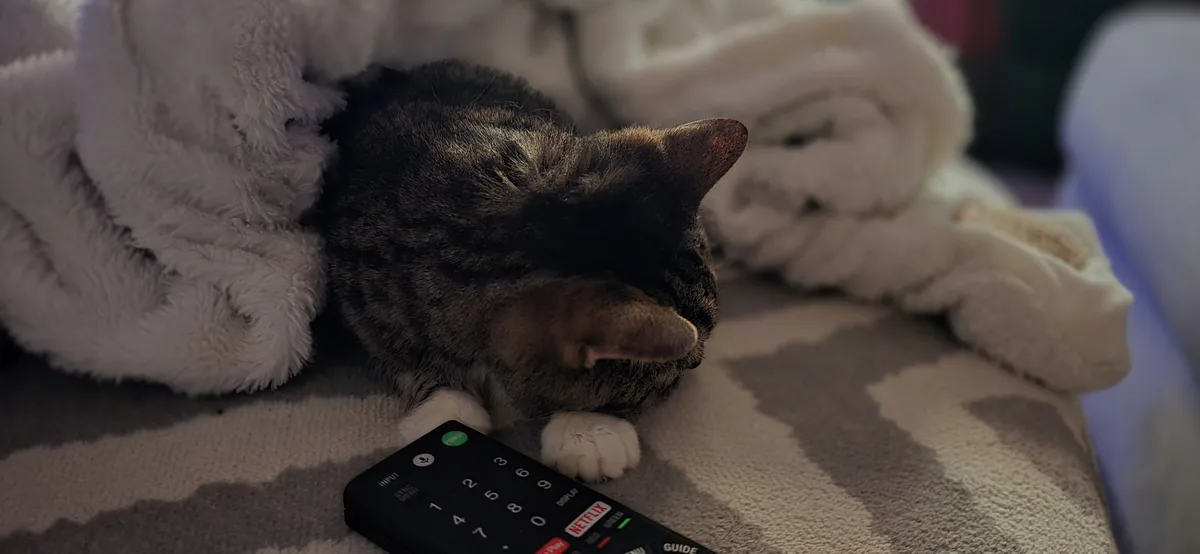 A tabby cat with white paws is curled up asleep on a patterned blanket next to a black Netflix remote control. The cat's…
