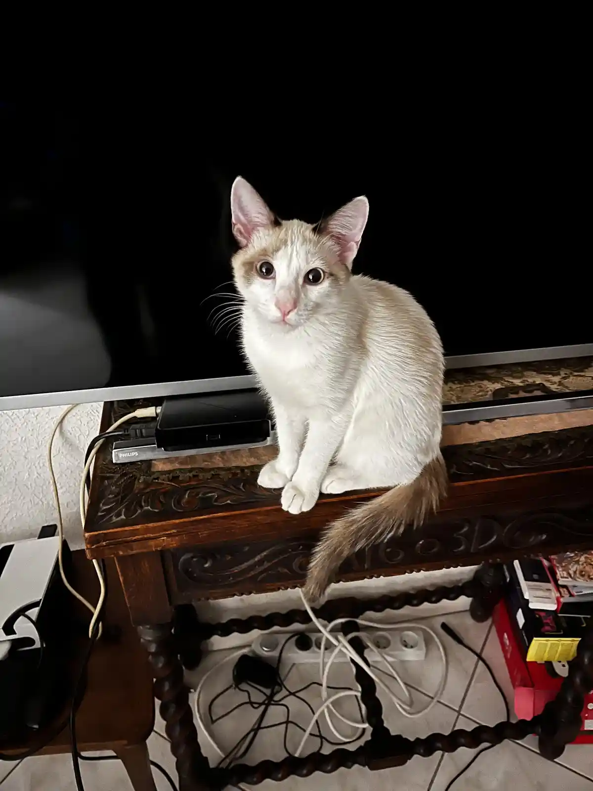 Taking a moment to check out the TV