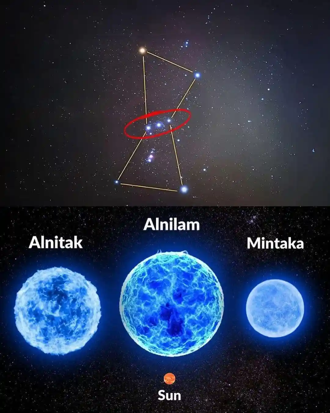 The image displays the Orion constellation with a red circle highlighting its three bright stars: Alnitak, Alnilam, and…