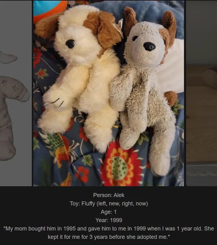 Two identical-looking plush dogs sit side-by-side on a colorful floral blanket. The left dog is visibly newer and fluffier…