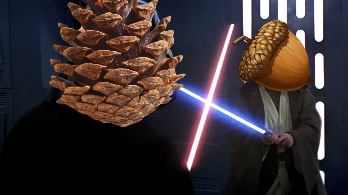 Two figures in a Star Wars lightsaber duel, one with a pinecone for a head and the other with an acorn for a head, their…