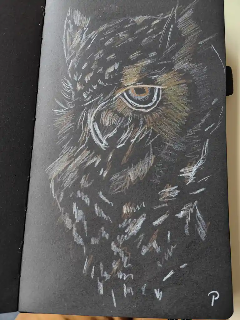A detailed chalk drawing on black paper depicts a fierce-looking cat's face, focusing on its intense eye and whiskers, with…