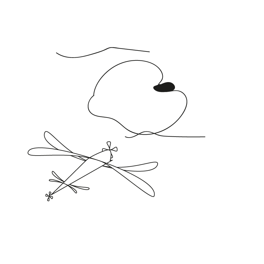 A minimalist black line drawing shows a stylized bird with a black eye and curved beak flying above a simple airplane with…