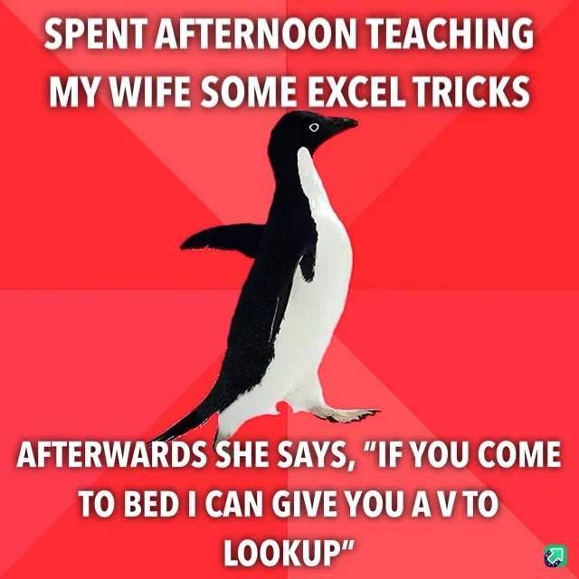 A black-and-white penguin stands against a red background with white text overlaid. The top text reads 'SPENT AFTERNOON…