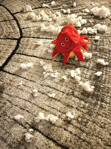 A red plush octopus toy with a smiling face sits on a gray carpet that has been torn open, revealing white stuffing…