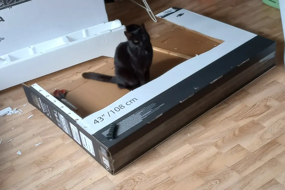 A black cat sits calmly inside a large, partially opened cardboard box labeled '43" / 108 cm', which has been cut open to…