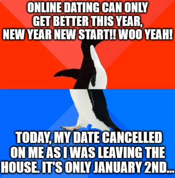 A penguin stands against a red and blue background, split into two panels. The top panel reads 'ONLINE DATING CAN ONLY GET…