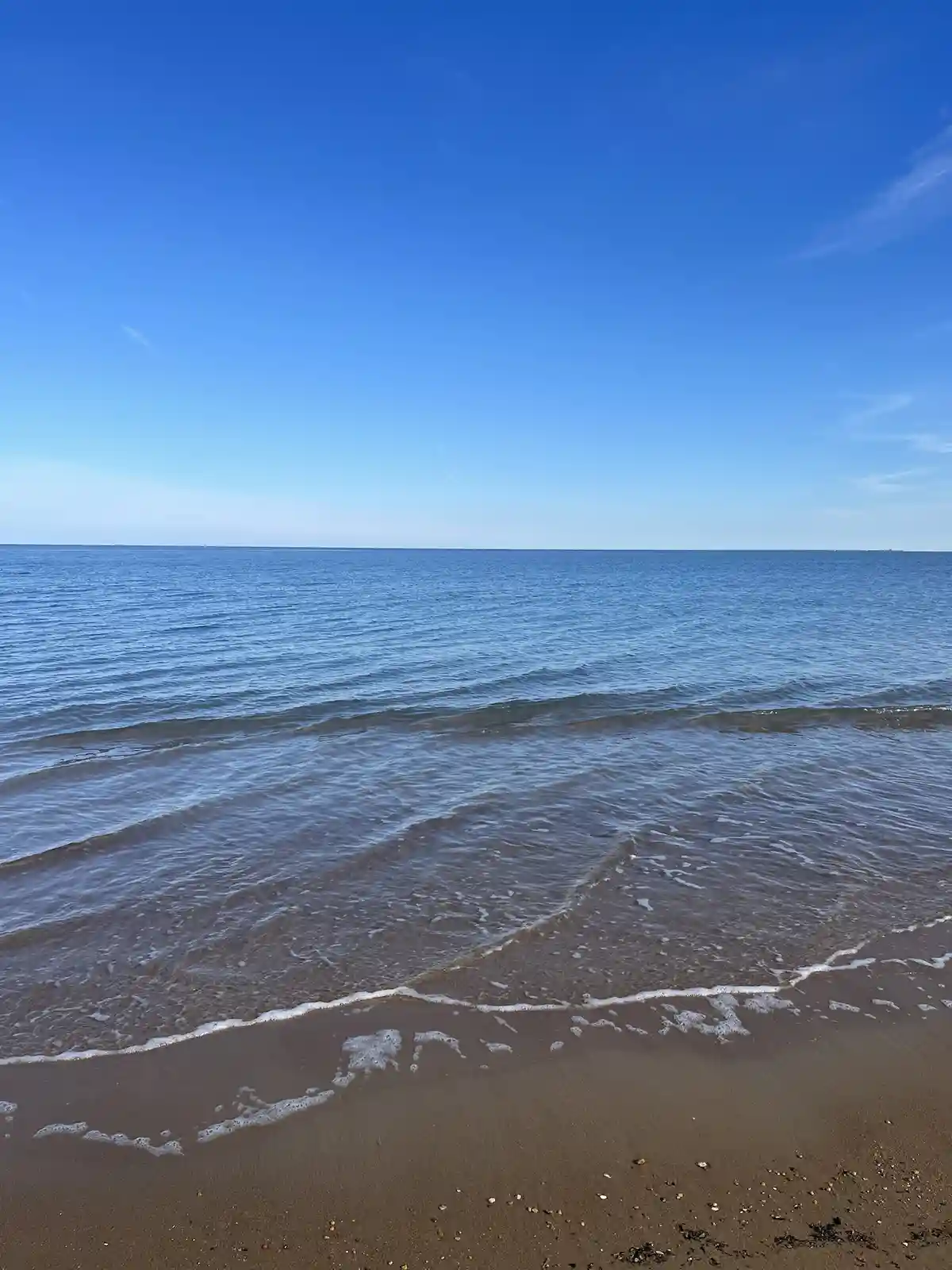 Refreshing Water: The Essence of Life