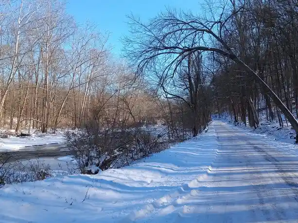 A snowy path winds through a winter forest with bare trees and a frozen stream beside it, under a clear blue sky. The image…