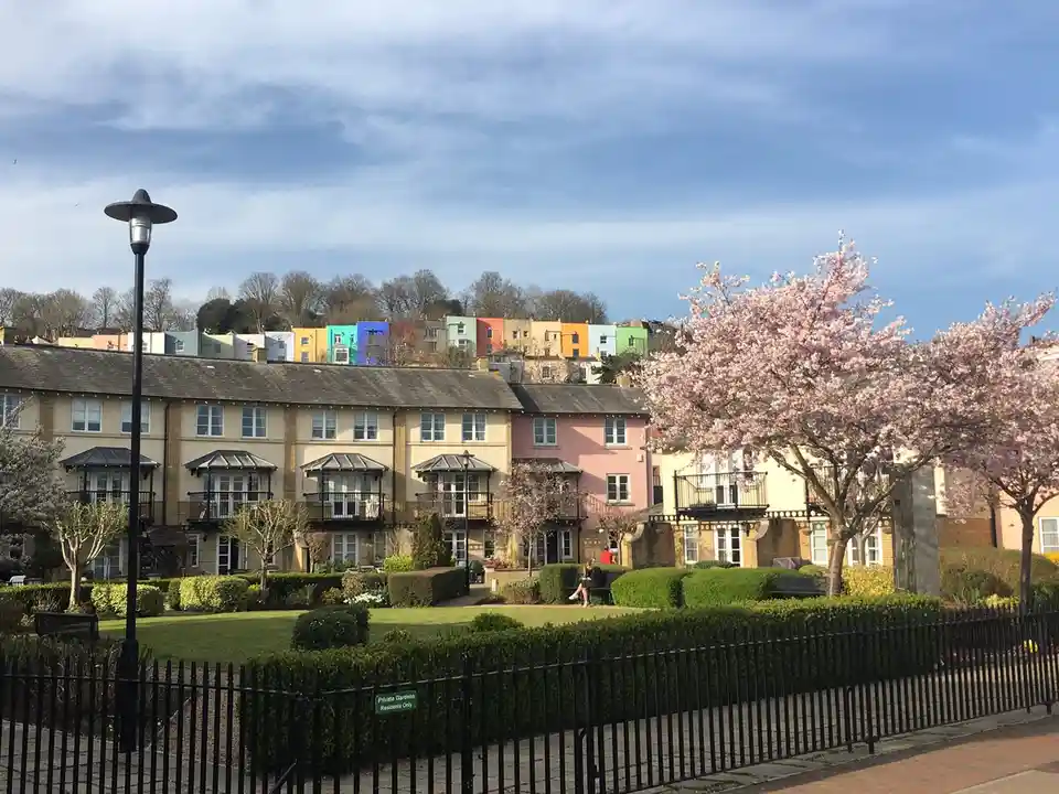 A photograph of a residential area with a row of pastel-colored houses in the foreground and a hillside of brightly painted…