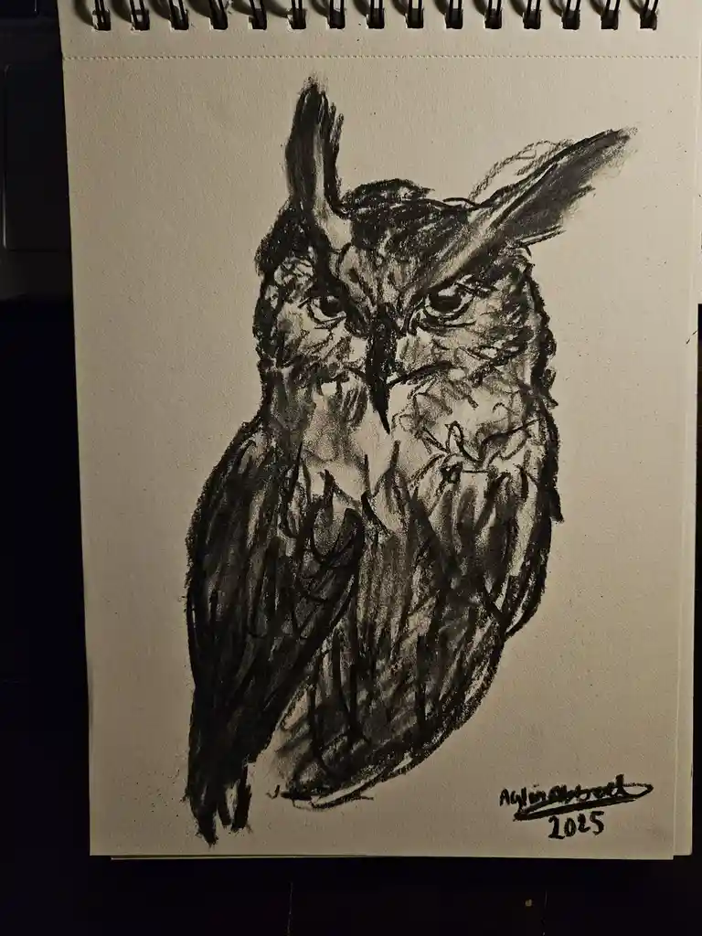A black-and-white charcoal sketch of an owl on spiral-bound paper, signed 'Aglinabbeel 2025' in the bottom right corner. The…