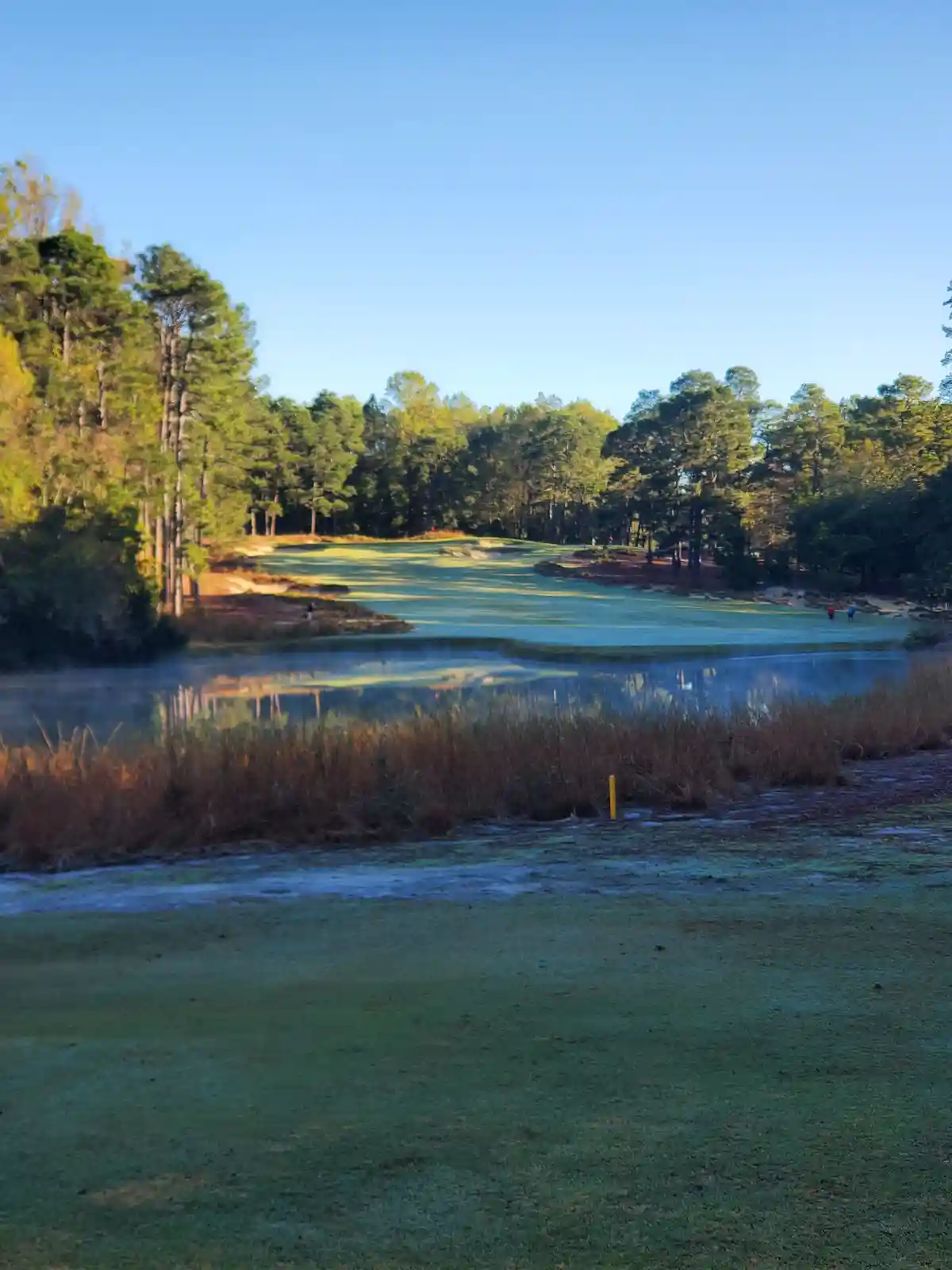 A scenic golf course with a frozen pond in the foreground, surrounded by frost-covered grass and tall pine trees under a…