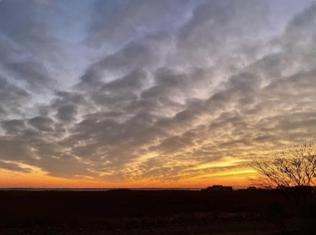 A dramatic sunset with orange and purple clouds over a dark landscape, featuring silhouetted trees and distant buildings…
