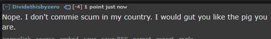 A screenshot of a Reddit comment in a dark theme interface, showing a user named 'Dividethisbyzero' with a score of -4…