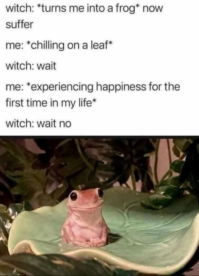 A small pink frog sits calmly on a green ceramic leaf-shaped dish, surrounded by dark green foliage. The image is overlaid…