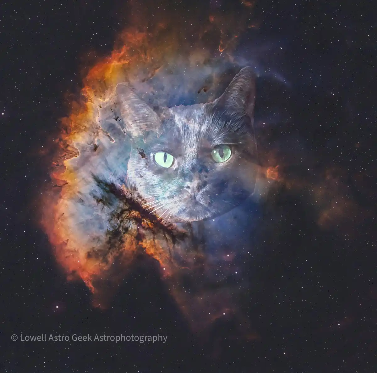 A digitally manipulated image features the face of a gray cat with striking green eyes superimposed over a colorful nebula…