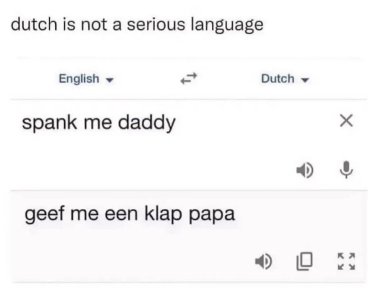 An image of a Google Translate interface with 'English' and 'Dutch' selected, showing 'spank me daddy' translated to 'geef…