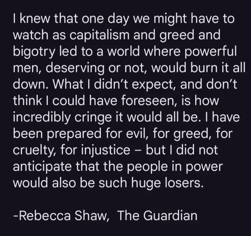 A dark background with white text displaying a quote attributed to Rebecca Shaw from The Guardian, expressing disappointment…