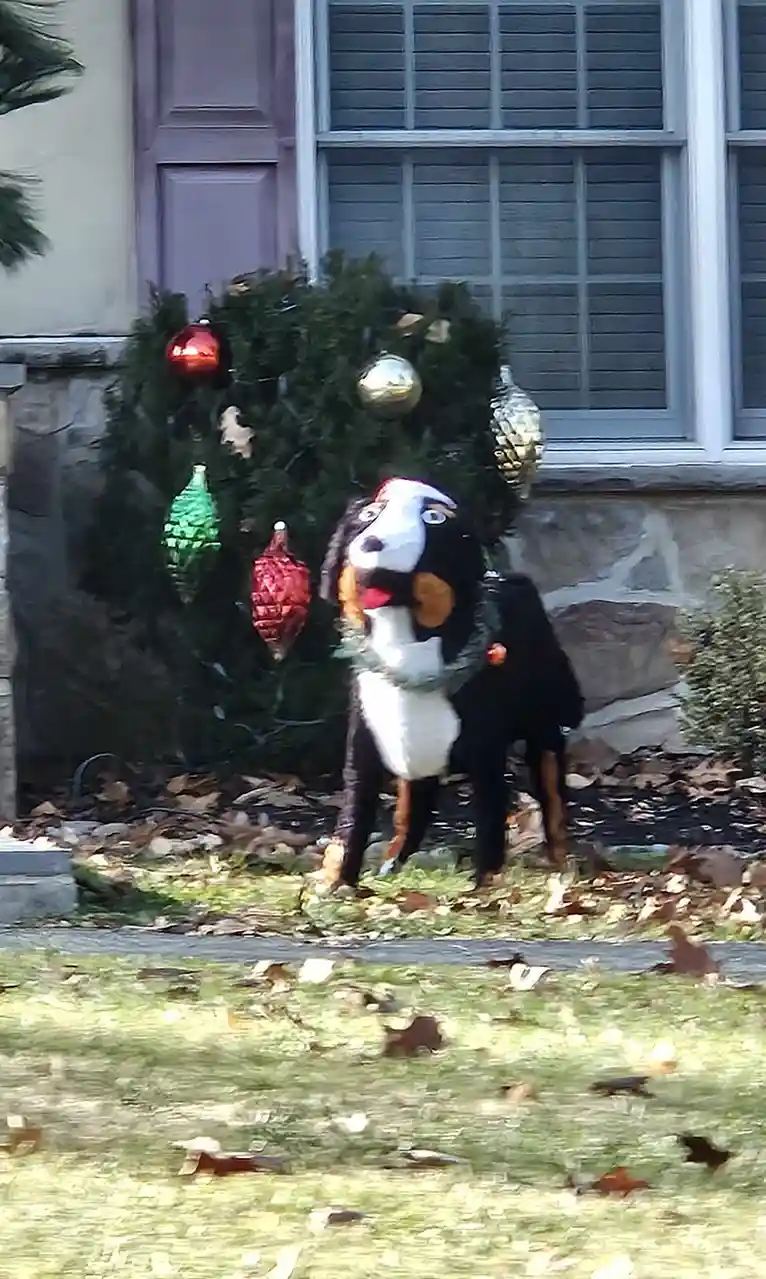 This 'dog' is here to announce Christmas in my town!