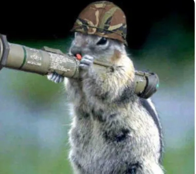 a close-up photo of a squirrel wearing a camouflage military helmet and holding a large rocket launcher, aiming it forward…