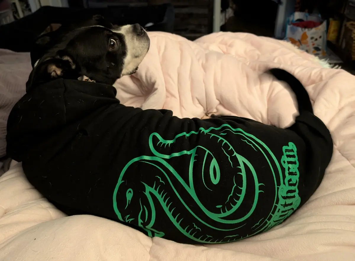 A black and white dog wearing a black hoodie with a green Slytherin serpent logo and the word 'Slytherin' on the side, is…