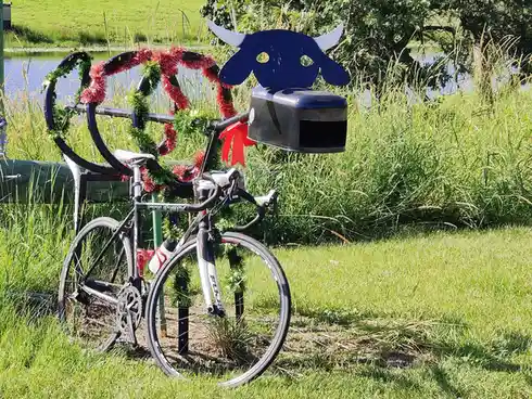A black road bicycle is parked outdoors on grass next to a body of water, decorated with red and green tinsel garlands…