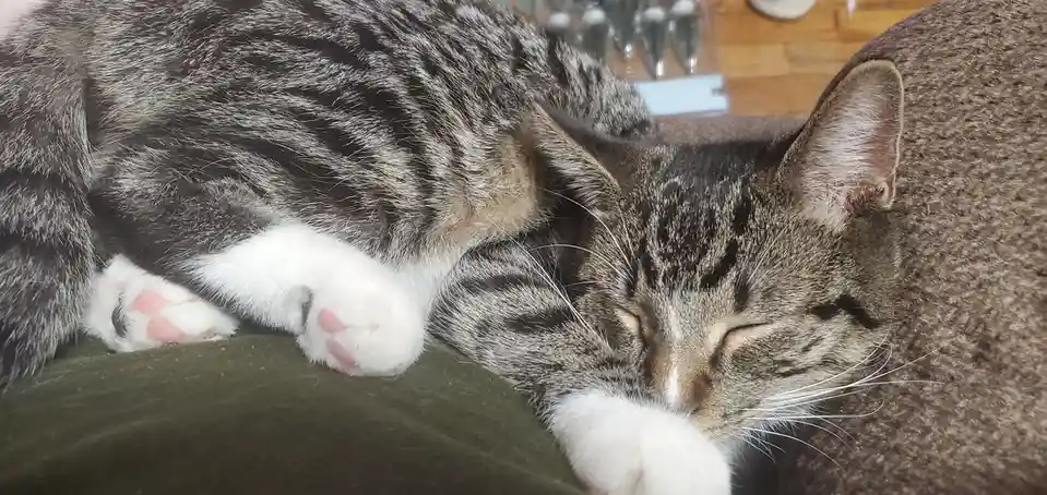 Discovering the Most Uncomfortable Sleeping Position Ever