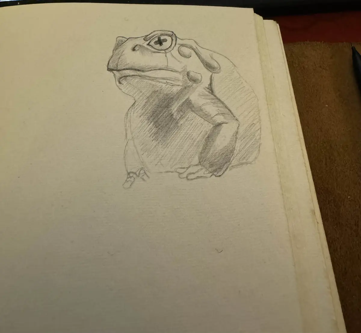 A pencil sketch of a frog sitting upright on a sketchbook page, drawn with shading and visible pencil lines. The frog has a…