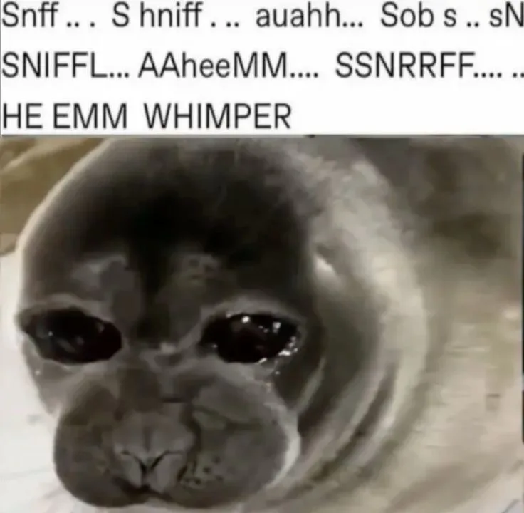 A close-up, black-and-white image of a seal with large, glossy, teary eyes looking directly at the camera, conveying a sad…