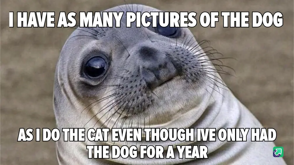 A close-up photo of a baby seal with large, innocent eyes and a slightly smug expression, overlaid with white bold text…