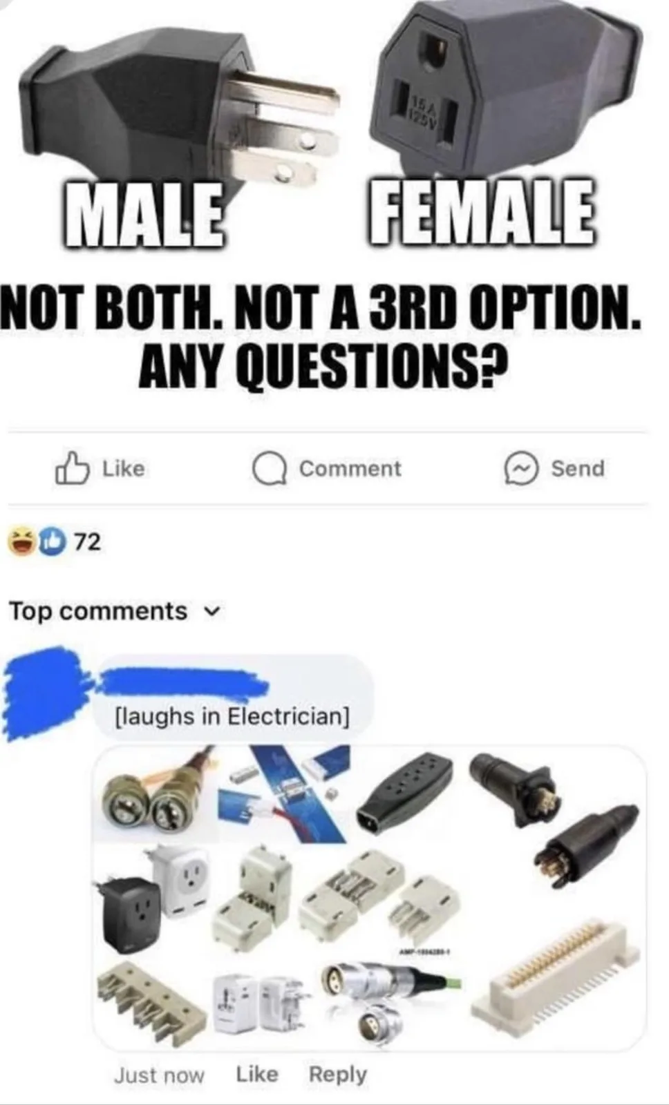 The image displays two electrical plugs labeled 'MALE' and 'FEMALE' with text below stating 'NOT BOTH. NOT A 3RD OPTION. ANY…