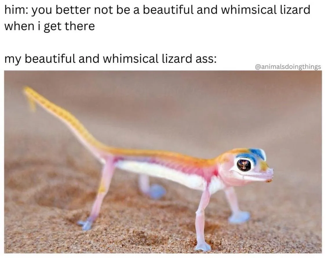 A Hilarious Collection of Random Memes to Brighten Your Day, Volume 9271